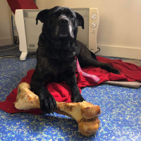 Photo de XENA