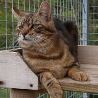 Photo de Bostik