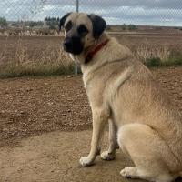 Photo de TITAN