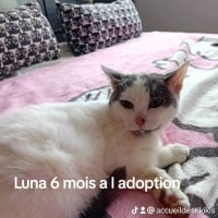 Photo de Luna