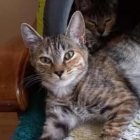 Photo de JOANN