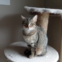 Photo de La Crêpe