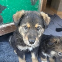 Photo de Paco