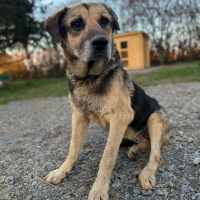 Photo de Pipou