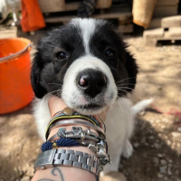 Photo de Felipa