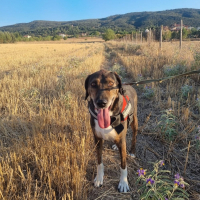 Photo de Samu