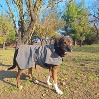 Photo de Samu