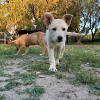 Photo de Spirit