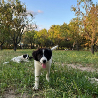 Photo de Felipa