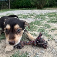 Photo de Tiny Tonny