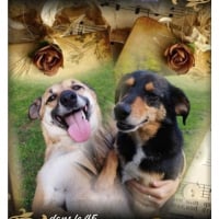 Photo de Mabrouka & Fanine