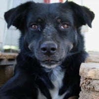 Photo de Tamu
