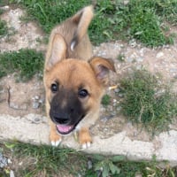Photo de Bloop