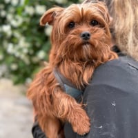 Photo de Teddy