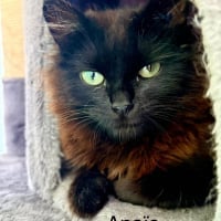 Photo de ANAIS