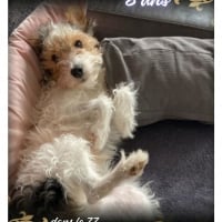 Photo de Chouki