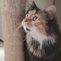 Photo de ROSIE