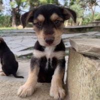 Photo de Tiny Tonny