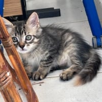 Photo de Mumy