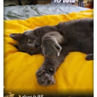 Photo de Kimy