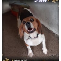 Photo de Lola