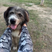 Photo de Pierro