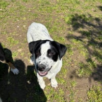 Photo de Apollo