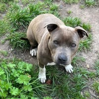 Photo de NALA