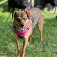 Photo de Coco