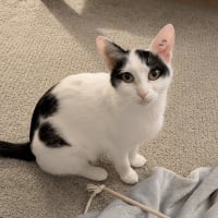 Photo de Mia