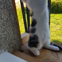 Photo de Perle