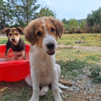Photo de Rivka