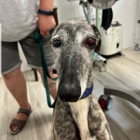 Photo de FREYA
