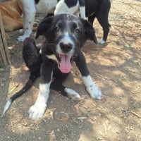 Photo de Seraphina