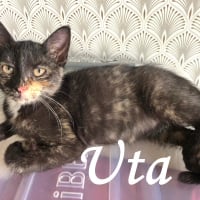 Photo de Uta
