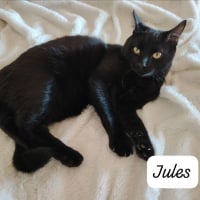 Photo de Jules