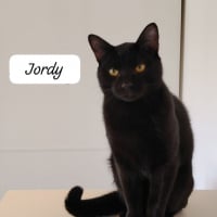 Photo de Jordy