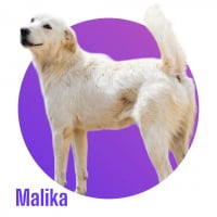Photo de Malika 