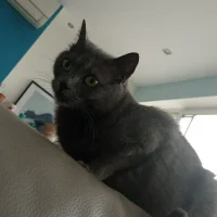 Photo de Xira