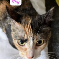 Photo de Mey