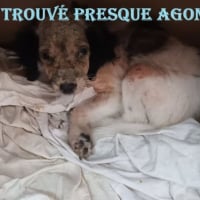 Photo de Aviv