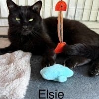 Photo de ELSIE