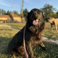 Photo de Caki