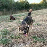 Photo de Filou