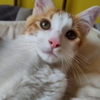 Photo de Roudoudou 