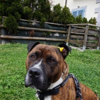 Photo de nino