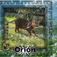 Photo de Orion