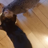 Photo de ALPHA