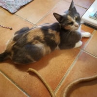 Photo de Abygaelle