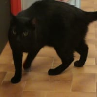 Photo de Noiraud